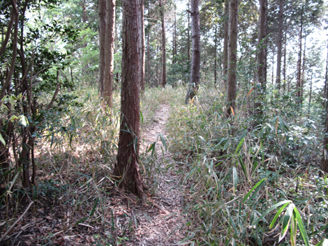 20140426hike (238)